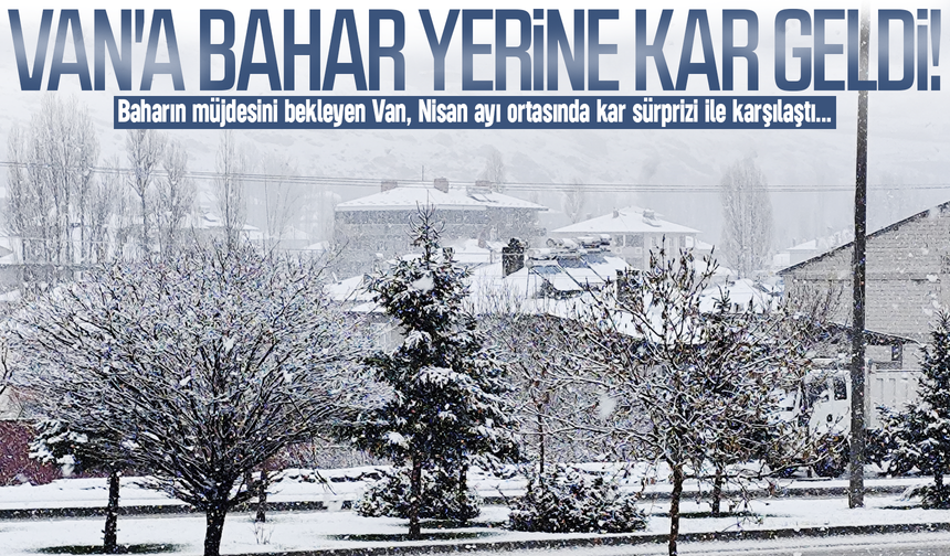 Van'a bahar yerine kar geldi!