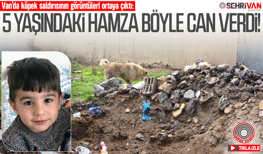 Van’da köpek saldırısının görüntüleri ortaya çıktı! 5 yaşındaki Hamza böyle can verdi