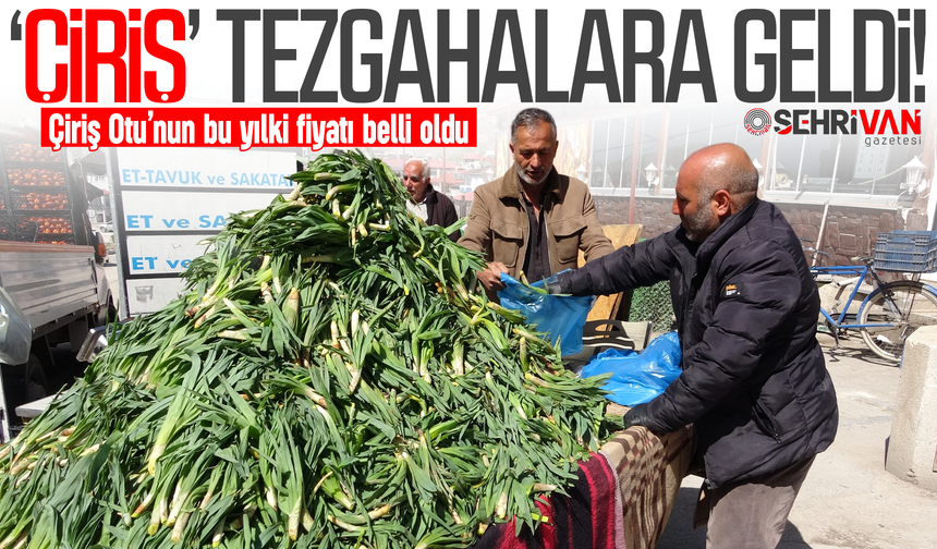 Van'da sıfır sermayeyle yeni kazanç kapısı!