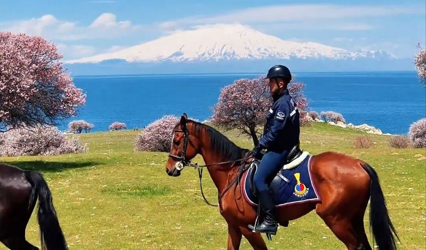 Van'da Atlı Jandarma Timleri Çarpanak Adası’nda mesaiye başladı