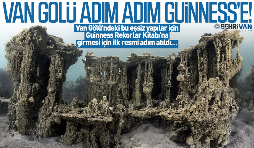 Dünya Van Gölü’nü konuşacak: Adım adım Guinness rekoruna koşuyor!