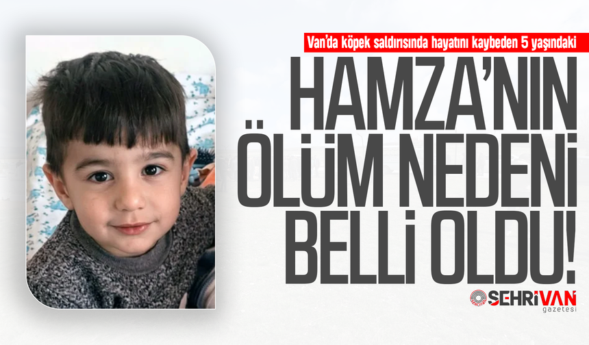 Van’da köpek saldırısı: 5 yaşındaki Hamza’nın ölüm nedeni belli oldu!