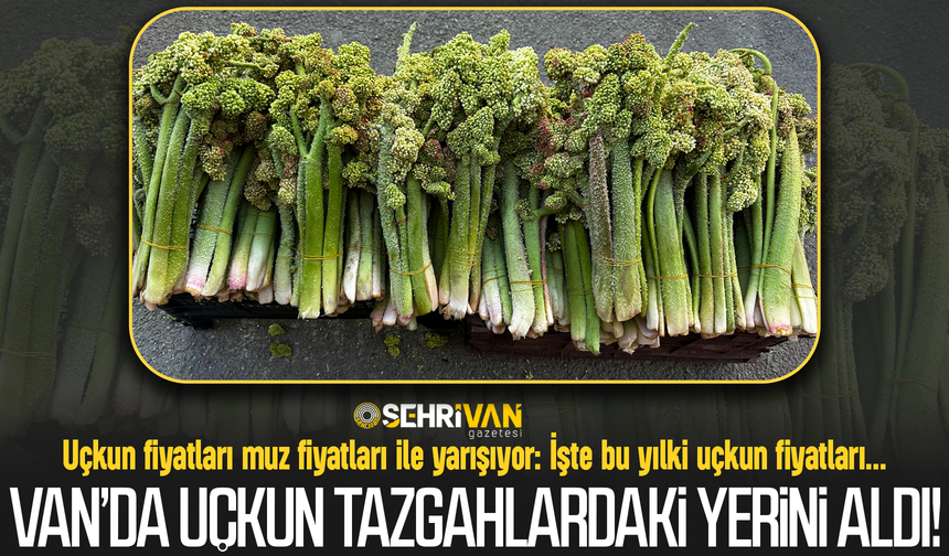 Van’da uçkun çıktı! İşte uçkun fiyatları