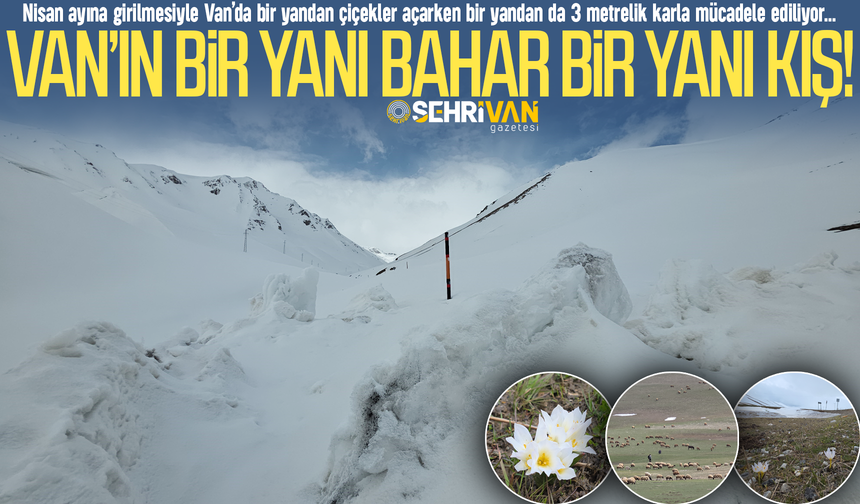 Van’da iki farklı dünya!