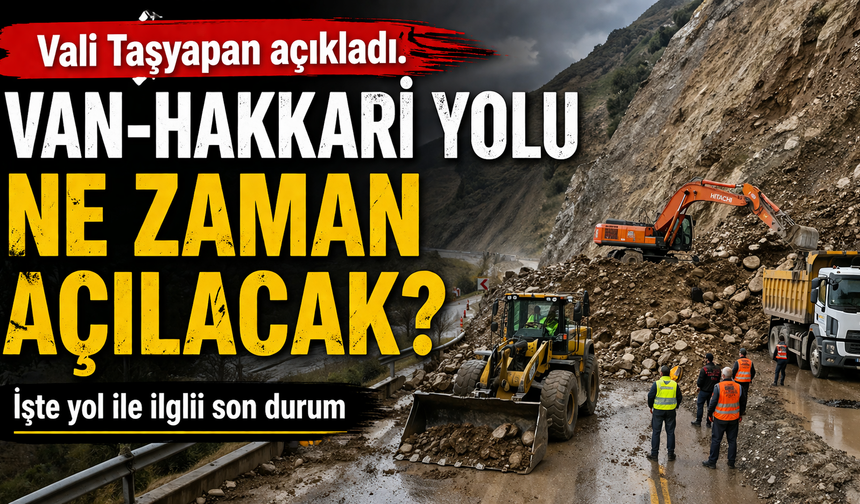 Van-Hakkari yolu ile ilgili flaş gelişme! Yol açılacak mı?