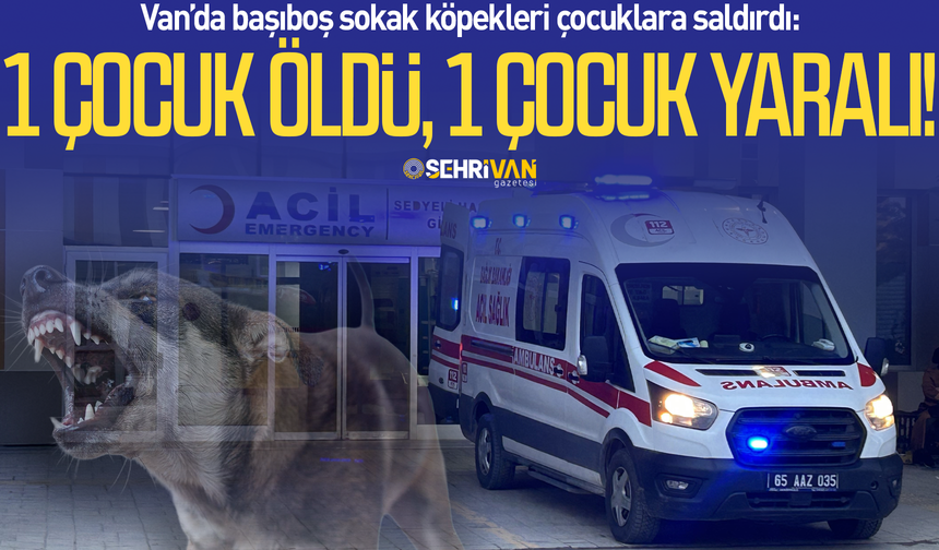Van’da başıboş sokak köpekleri çocuklara saldırdı: 1 çocuk öldü, 1 çocuk yaralı!