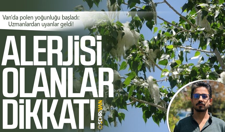 Alerjisi olanlar dikkat: Van'da polen yoğunluğu başladı!