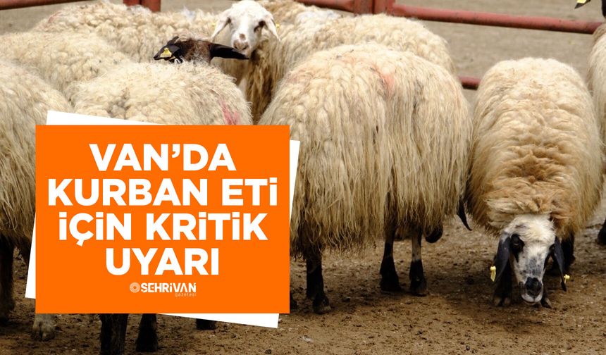 Van’da kurban eti için kritik uyarı