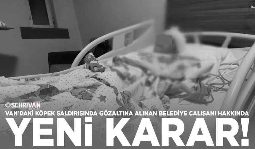 Van’daki köpek saldırısında gözaltına alınan belediye çalışanı hakkında yeni karar!