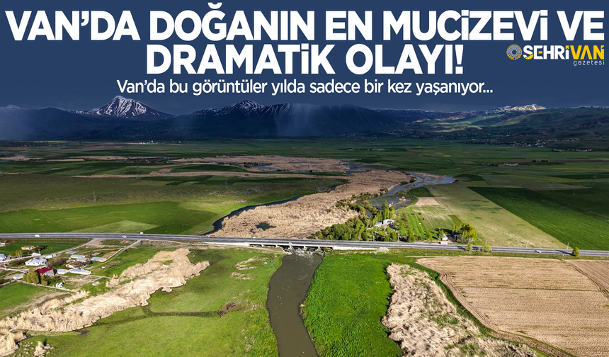 Van’da bu görüntüler yılda sadece bir kez yaşanıyor: Doğanın en mucizevi ve dramatik olayı!