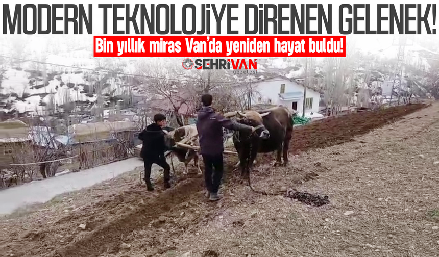 Van’da modern teknolojiye direnen gelenek: Bin yıllık miras yeniden hayat buldu!