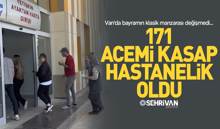 Van'da bayramın klasik manzarası: 171 kişi yaralandı!