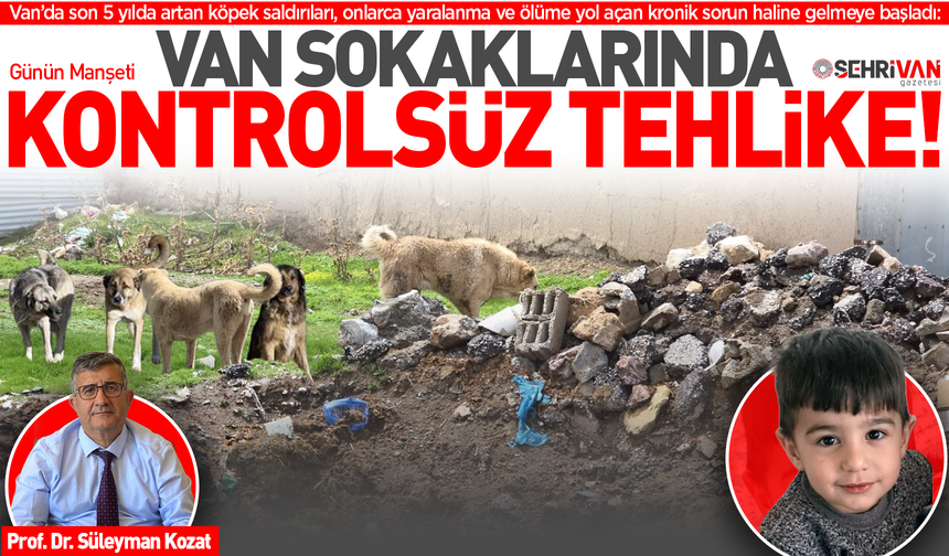Van sokaklarında kontrolsüz tehlike: 5 yaşındaki Hamza köpek saldırısında hayatını kaybetti!