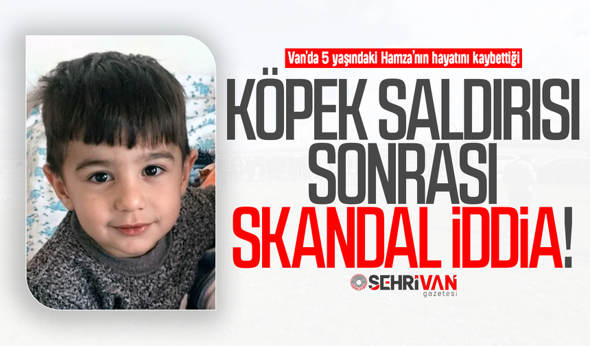 Van'da köpek saldırısı sonrası skandal iddia!
