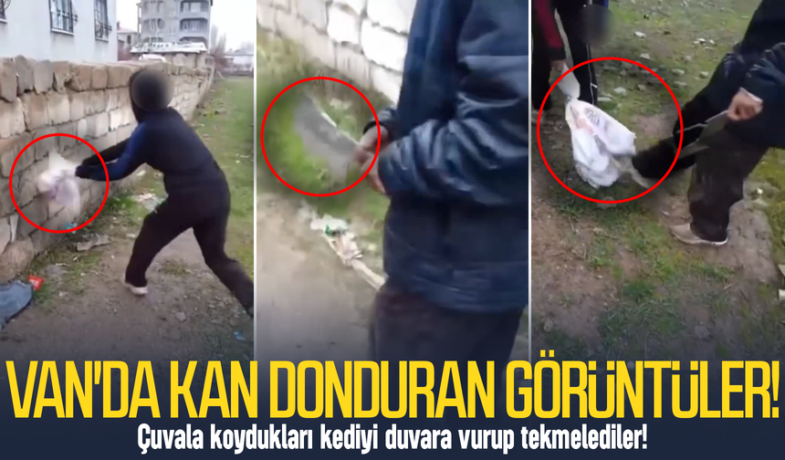 Van'da kan donduran görüntüler: Çuvala koydukları kediyi duvara vurup tekmelediler!