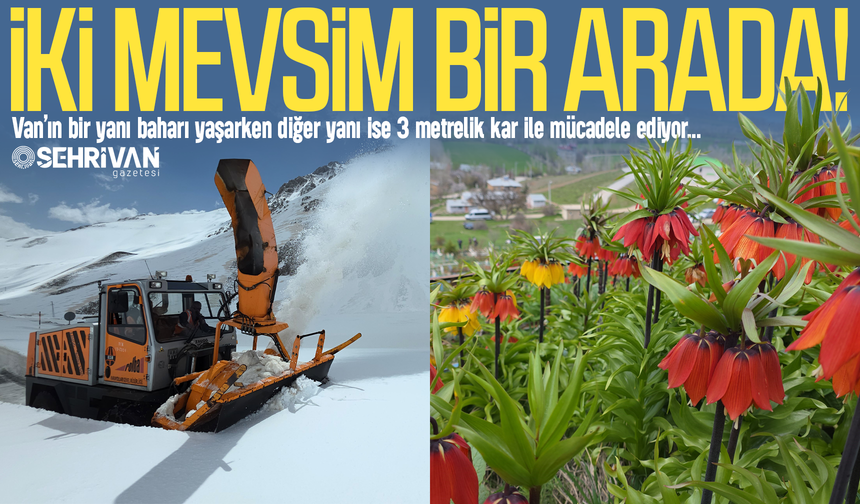 Bu görüntüler sadece Van’da: Van'da iki farklı dünya!