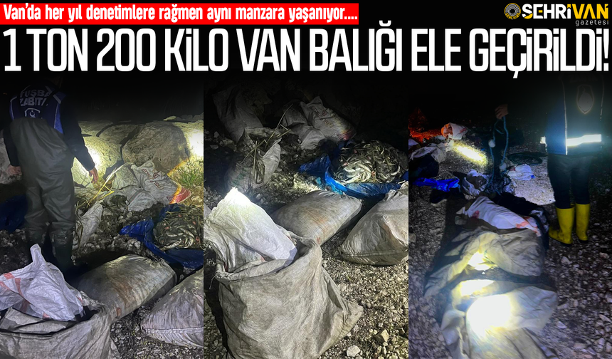 Vanlılar doğal mirasına ihanet ediyor!