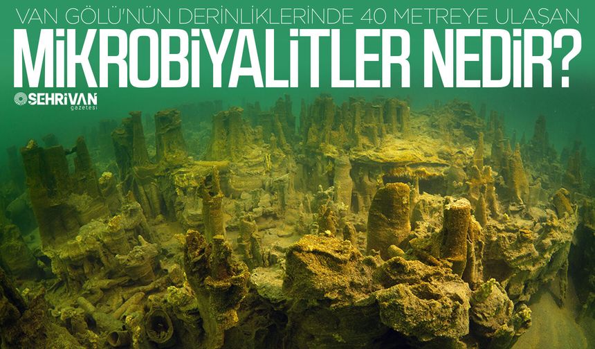 Van Gölü'nün derinliklerinde 40 metreye ulaşan mikrobiyalitler nedir?