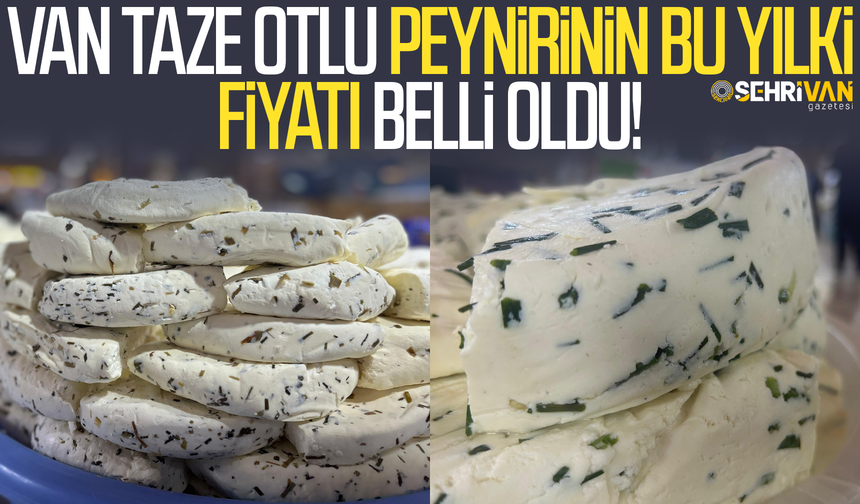 Van taze otlu peynirinin bu yıl ki fiyatı belli oldu!