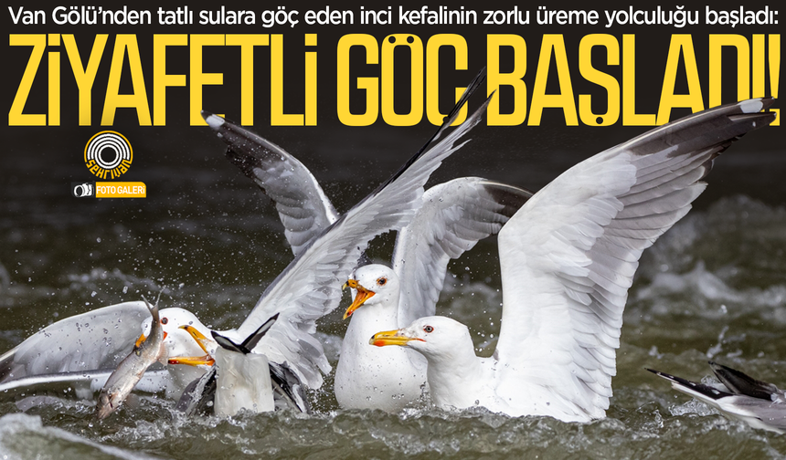 Van’da ezber bozan yolculuktan nefes kesen görüntüler!
