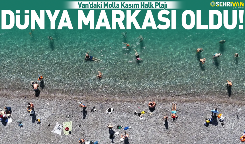 Van’ın plajı artık dünya markası oldu!