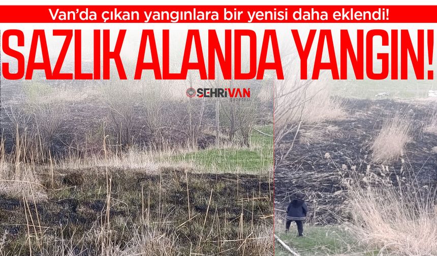 Edremit’te yangın çıktı!