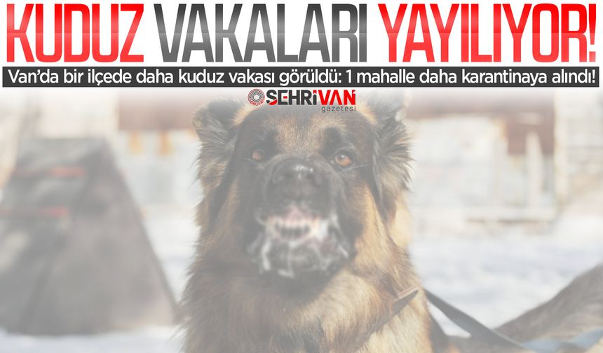 Van’da bir ilçede daha kuduz vakası görüldü: 1 mahalle karantinaya alındı!