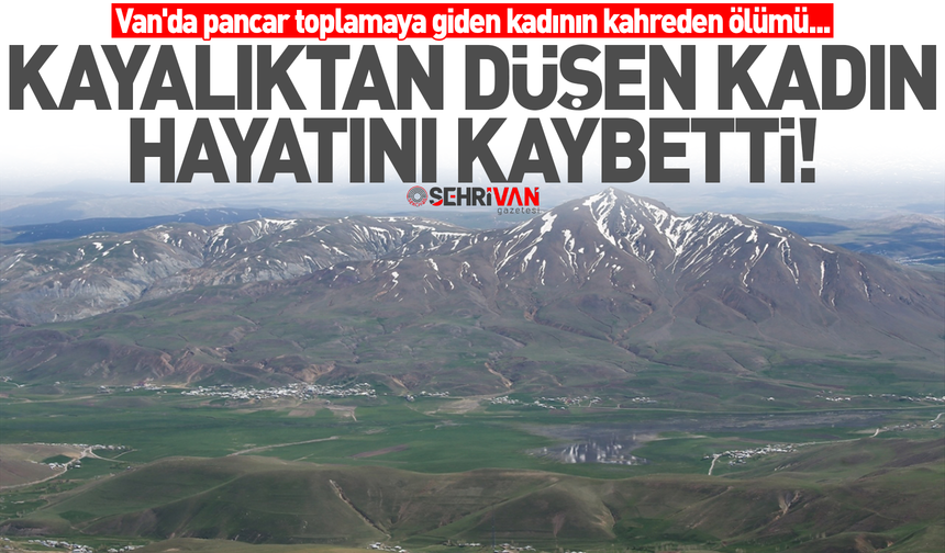 Van'da pancar toplarken kayalıktan düşen kadın hayatını kaybetti!