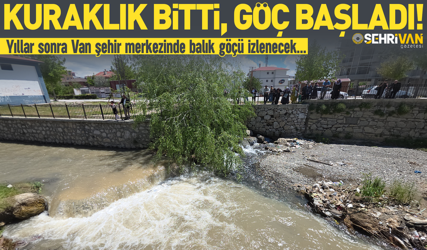 Van'da yıllar sonra bir ilk! Artık şehir merkezinde izlenecek…