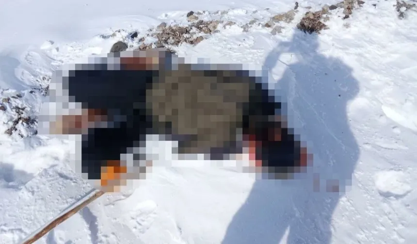 Hakkari'de erkek cesedi bulundu!
