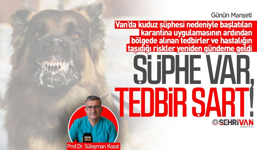 Van’da kuduz alarmı, 7 mahalle karantinaya alındı: Uzman isim kuduz vakalarına karşı uyardı!