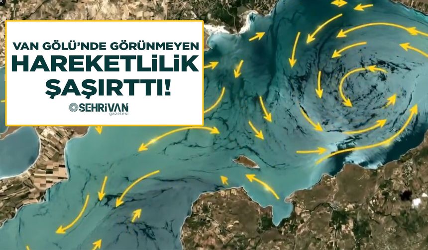 Van Gölü’nde görünmeyen hareketlilik şaşırttı!