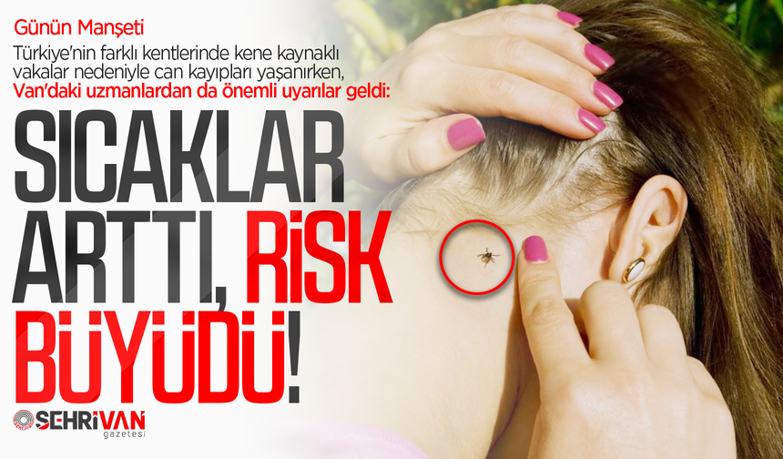 Vanlılar, keneye dikkat! Van'daki uzmanlardan önemli uyarılar!