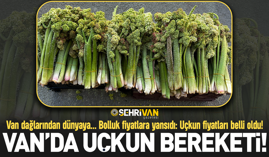 Bolluk fiyatlara yansıdı: Van'da Uçkun fiyatları belli oldu!