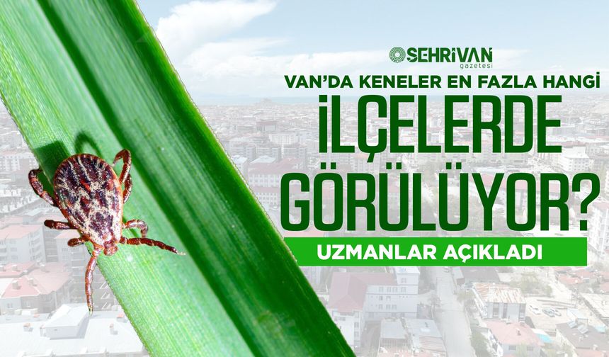 Van’da keneler en fazla hangi ilçede görülüyor? Uzmanlar açıkladı