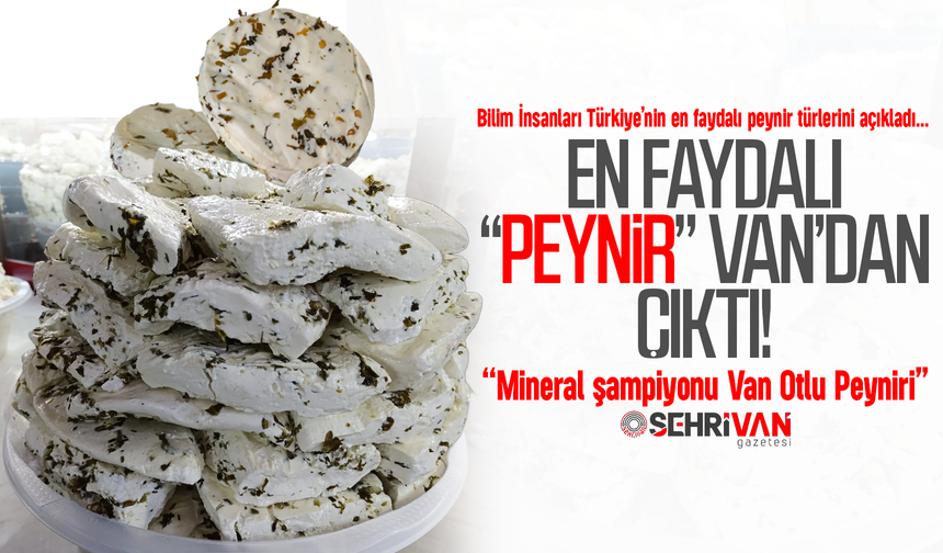 Türkiye'nin en şifalı peyniri Van’dan çıktı!