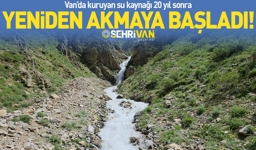 Van’da 20 yıllık mucize: Tam 20 yıl sonra küllerinden doğdu!