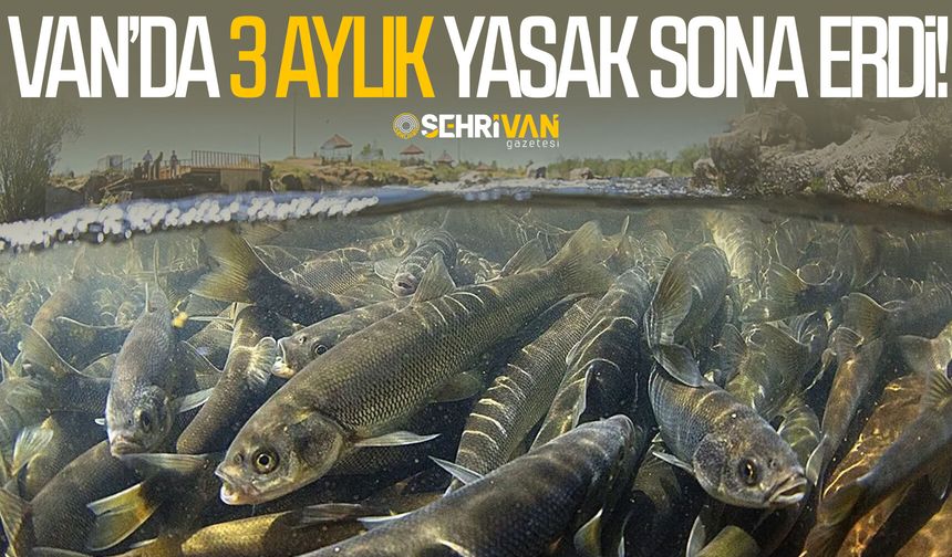 Van’da 3 aylık yasak sona erdi!