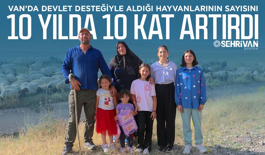 Van’da örnek başarı hikayesi! 40 koyunla başladı, 10 yılda 400’e ulaştı