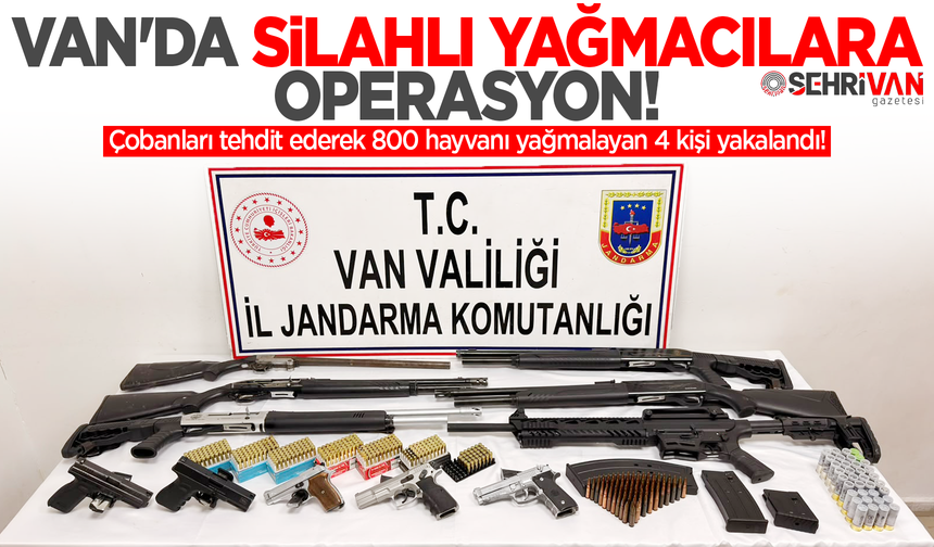 Van'da silahlı yağmacılara operasyon: Çobanları tehdit ederek 800 hayvanı yağmalayan 4 kişi yakalandı!
