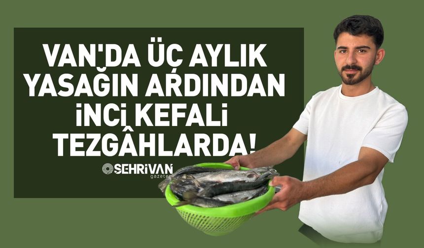 Van'da üç aylık yasağın ardından inci kefali tezgâhlarda