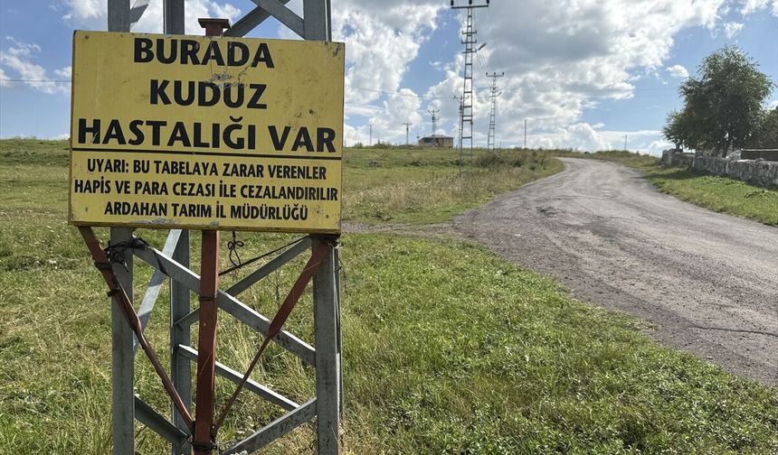 Bir kuduz vakası daha! Bölge karantina altına alındı