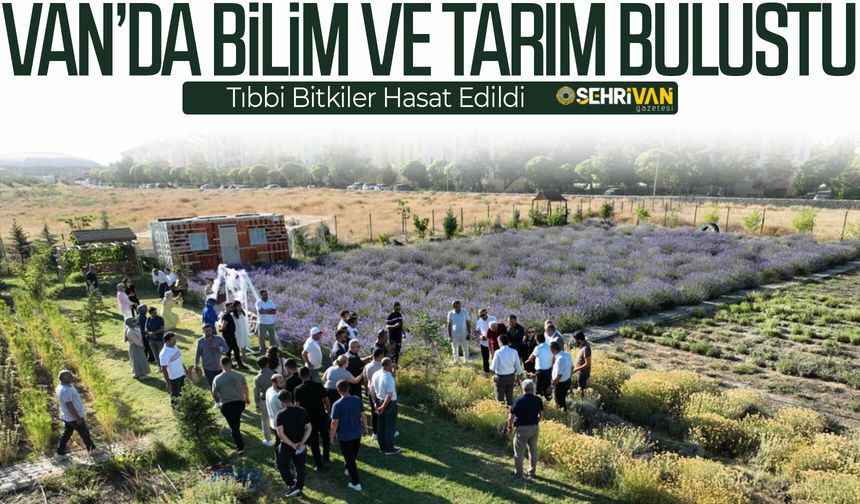 Van’da 7. Tıbbi ve Aromatik Bitkiler Hasat Bayramı düzenlendi