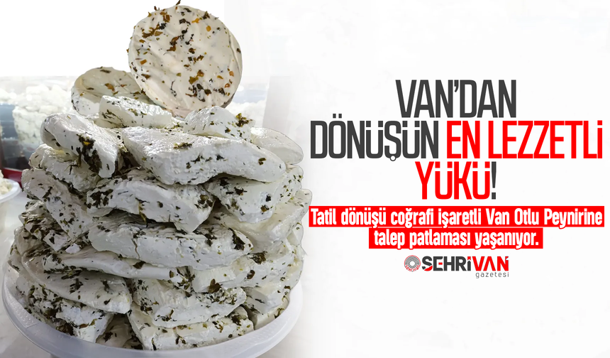 Van’dan dönüşün en lezzetli yükü: Van’ın gözdesi "sarı altın" fiyatıyla cep yakıyor!