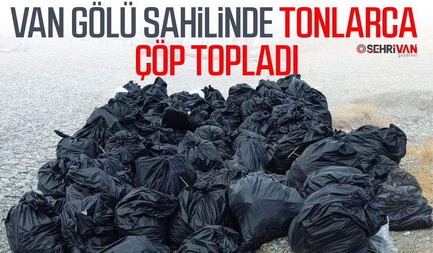 Van Gölü sahilinde tonlarca toplandı! Ortaya çıkan görüntü şaşırttı