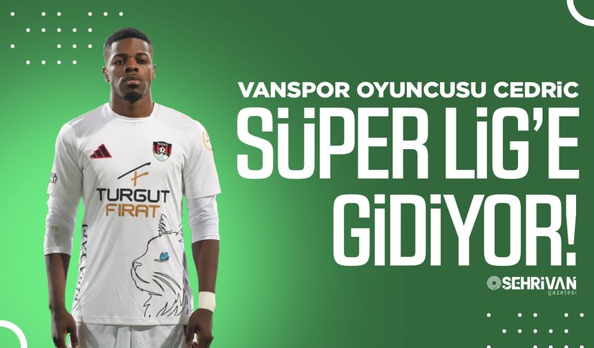 Vanspor oyuncusu Cedric Süper Lig’e gidiyor!