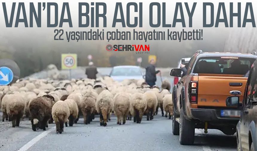Van’da bir acı olay daha: kamyonetin çarptığı 22 yaşındaki çoban hayatını kaybetti!