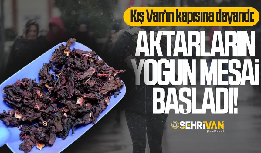 Kış Van’ın kapısına dayandı: Aktarların yoğun mesai başladı!