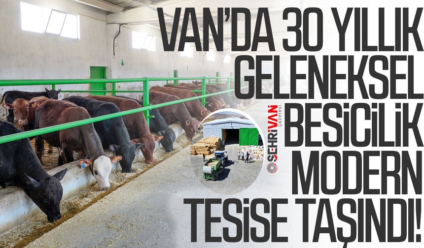 Van’da 30 yıllık geleneksel besicilik modern tesise taşındı!