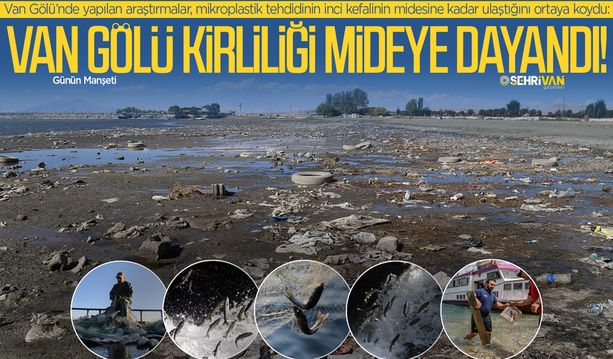 Van Gölü'nde yeni ölümcül tehlike!